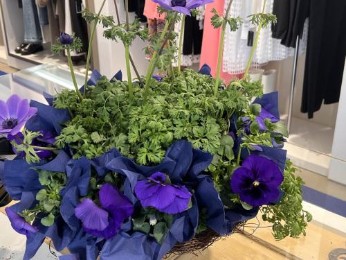 25-03-22-09-19-11-5181